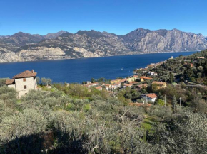 Olive Grove House